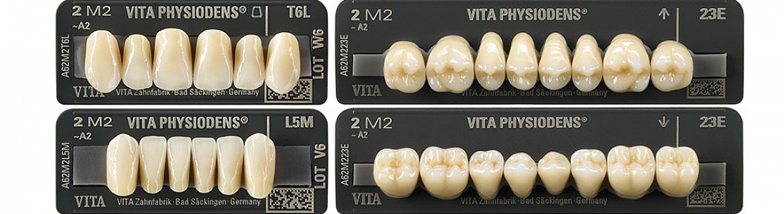 Изменение цены на зубы Vita Physiodens